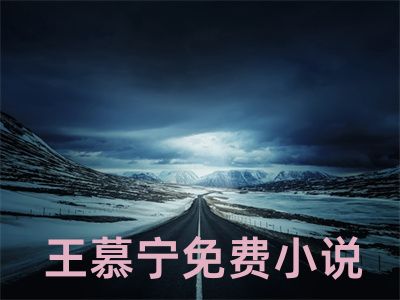 王慕宁免费小说全文免费试读